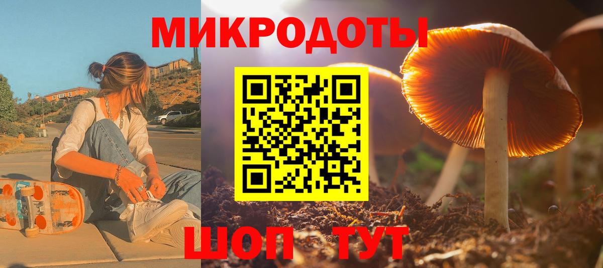 Псилоцибиновые грибы GOLDEN TEACHER  Гатчина  Галлюциногенные грибы Psilocybe 