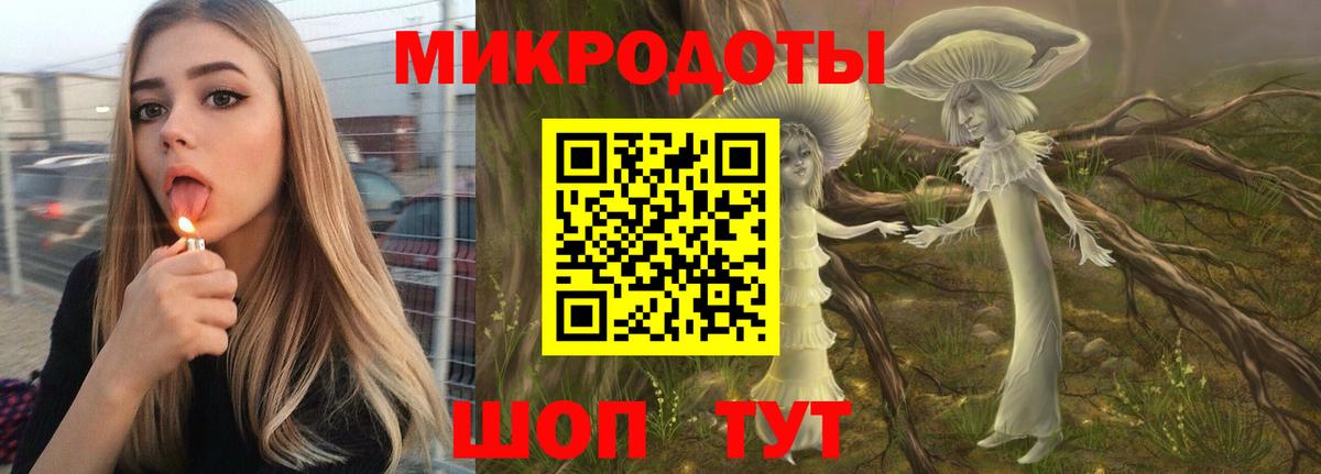 Галлюциногенные грибы Psilocybe Гатчина